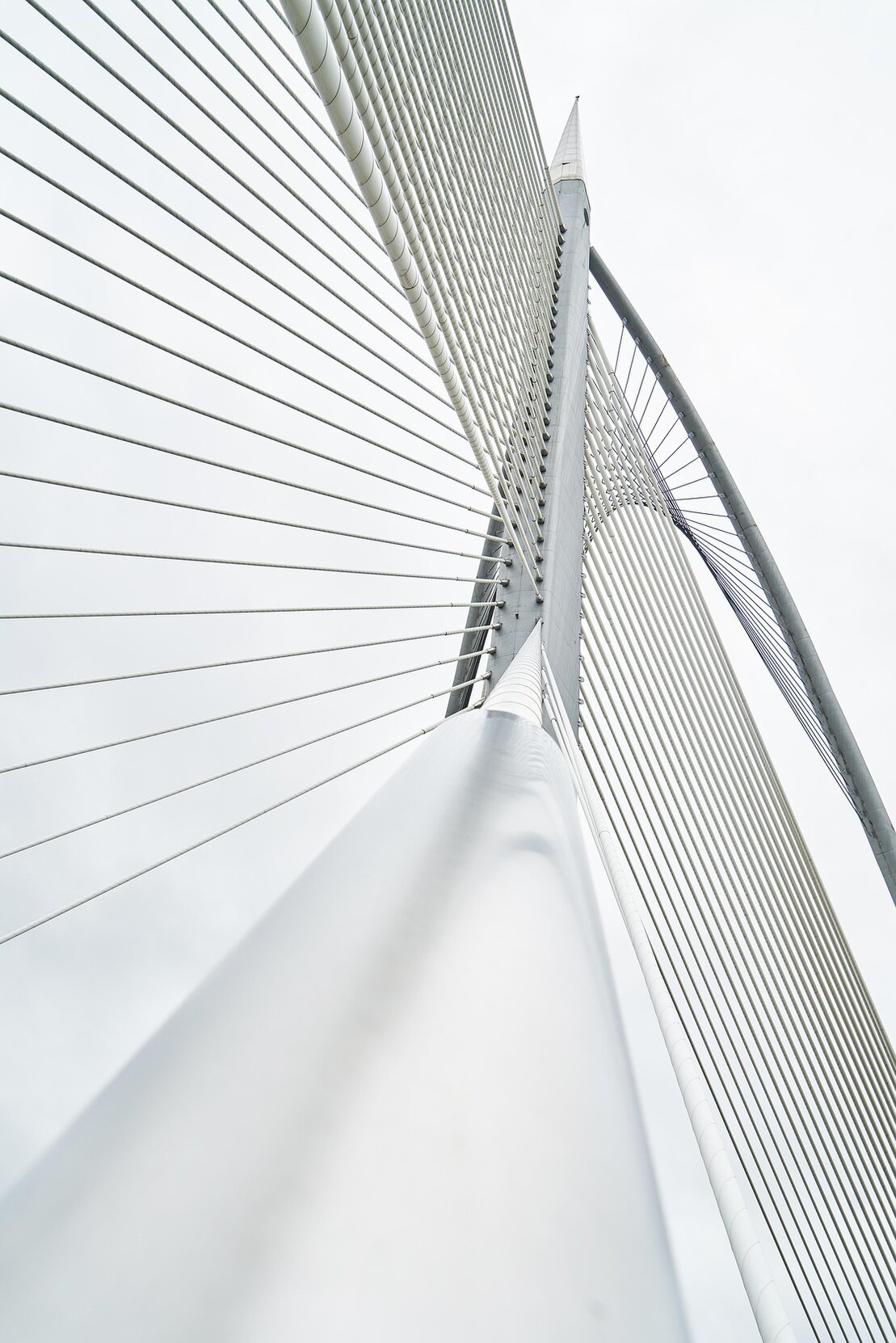 L’immagine mostra una struttura architettonica moderna vista dal basso, caratterizzata da linee geometriche e da una serie di cavi metallici che si estendono verso l’alto. La composizione crea una trama ordinata e dinamica di linee che convergono nello spazio. Nel contesto del progetto espositivo, l’immagine richiama simbolicamente la struttura dei pannelli illustrativi che compongono il percorso storico, organizzato in modo progressivo e coerente.
