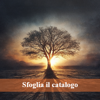 L’immagine mostra un grande albero solitario illuminato dalla luce del sole all’orizzonte. I rami si estendono in tutte le direzioni mentre il paesaggio circostante è immerso in una luce calda. Nella parte inferiore compare la scritta “Sfoglia il catalogo”. L’immagine funge da accesso al catalogo digitale della mostra Le Ombre dell’Occidente.